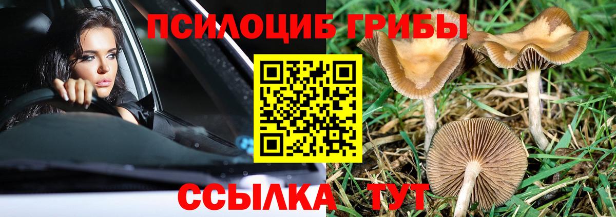 Псилоцибиновые грибы мухоморы  Вход с VPN  Ступино 