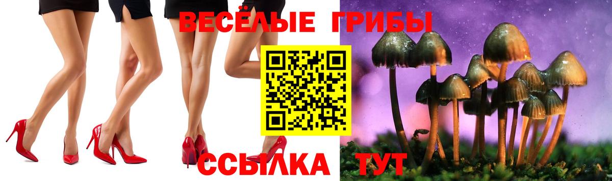 Галлюциногенные грибы мухоморы Ступино